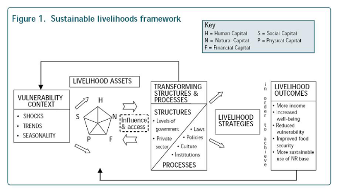 The sustainable livelihoods approach as a transformation tool for the  Western Sahara conflict - Irénées